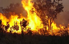 Immagine Prevenzione incendi e tutela del territorio comunale. Stagione estiva 2025.